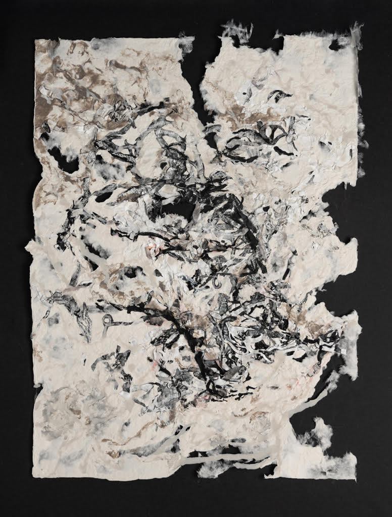 HMP. 7 l 2023 l 22”x 30”l paper pulp, handmade paper, monoprint on tyvek